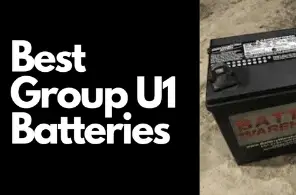 Top 5 Best Group U1 Batteries (Detailed Review)