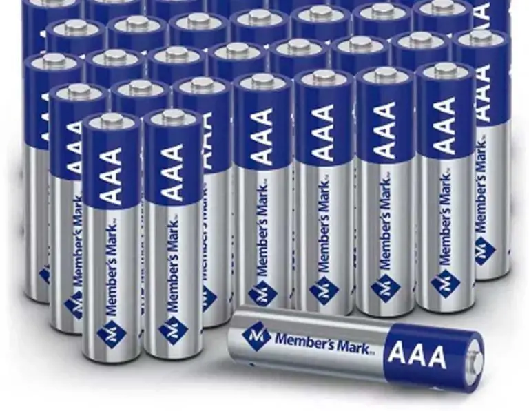 Who Makes Members Mark Batteries?