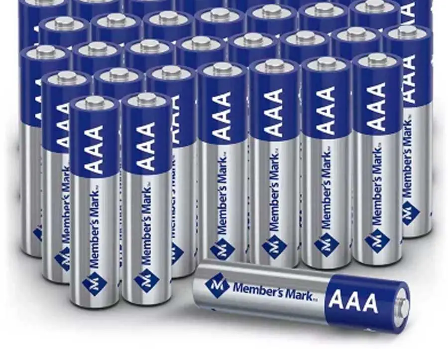 Who Makes Members Mark Batteries?